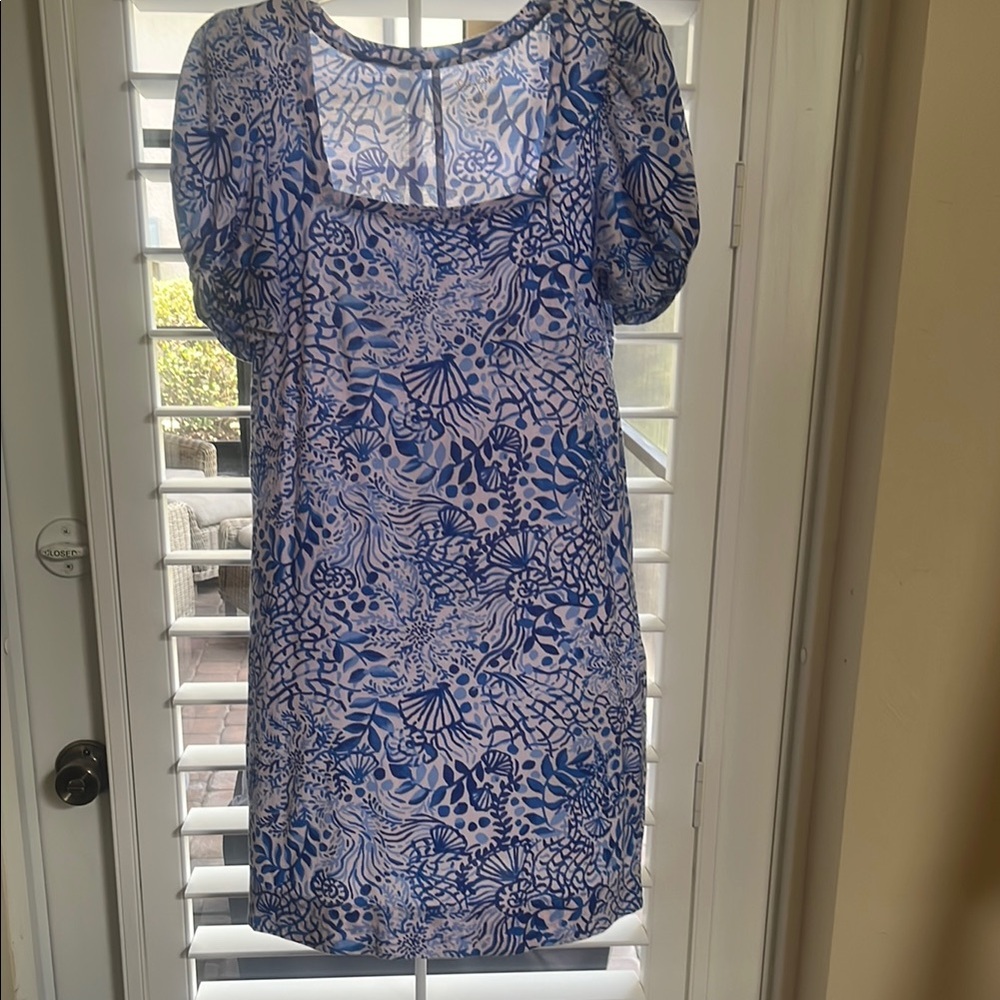 Blue and White Floral Dress